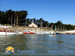Dumet_ckpca2