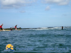 picnic_ckpca (3)